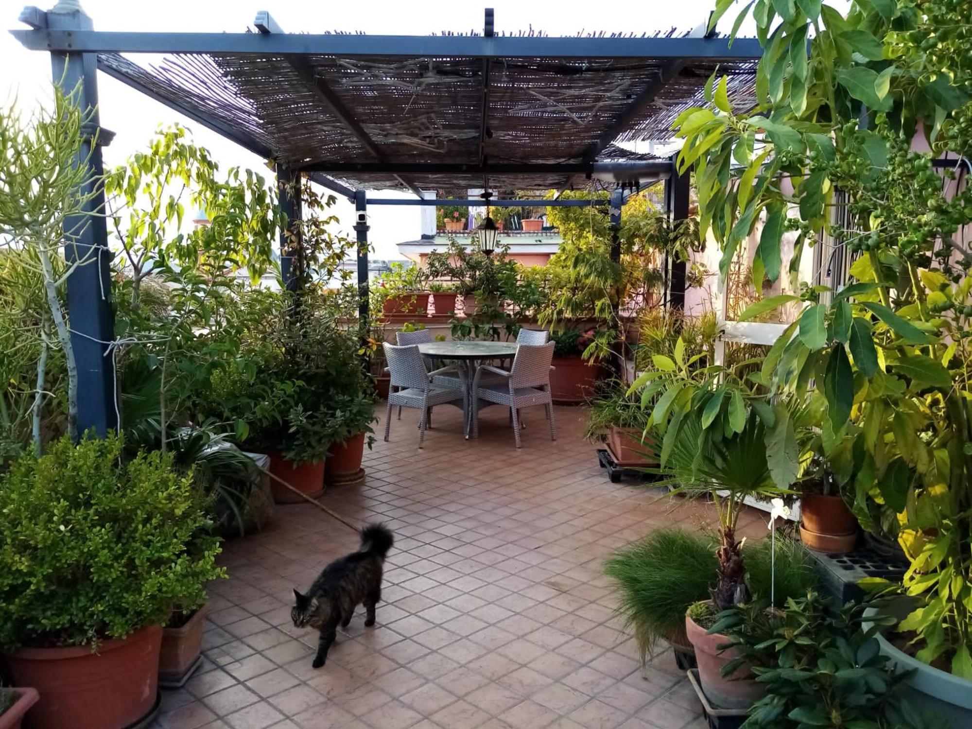 Il Nido Della Quaglia B&B - Jaba Mia House Lt Pozzuoli Zewnętrze zdjęcie
